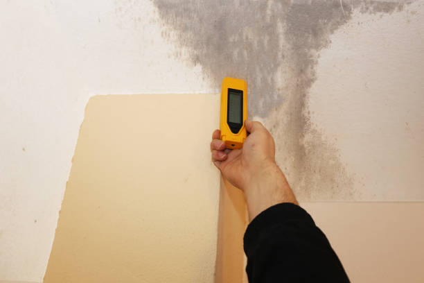 Best Mold Removal for HVAC Installations  in Ainsworth, NE