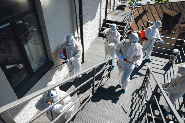 Best Water Damage & Mold Remediation  in Ainsworth, NE