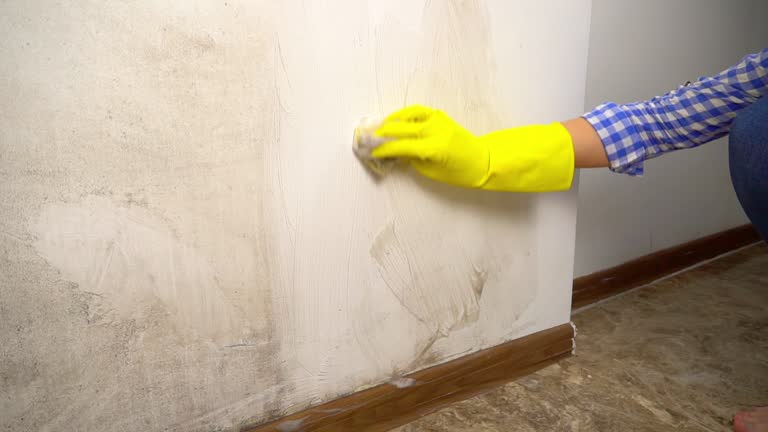 Best Forensic Mold Investigation  in Ainsworth, NE