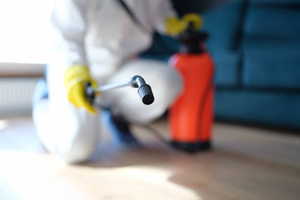 Mold Remediation for Vacation Homes in Ainsworth, NE