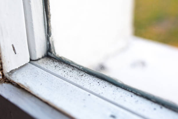 Best Mold-Related Health Consultation  in Ainsworth, NE