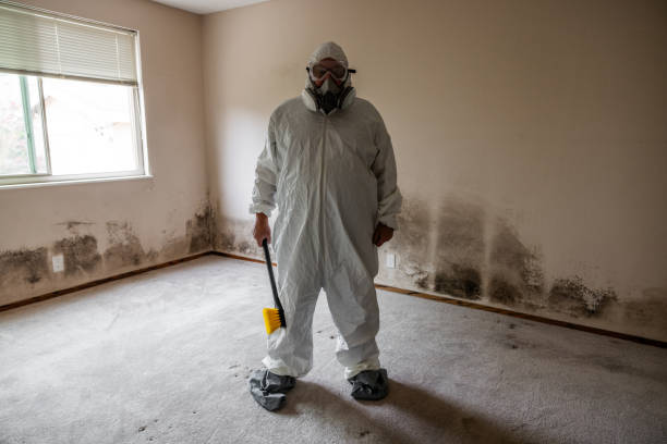 Best Post-Remediation Verification Testing  in Ainsworth, NE