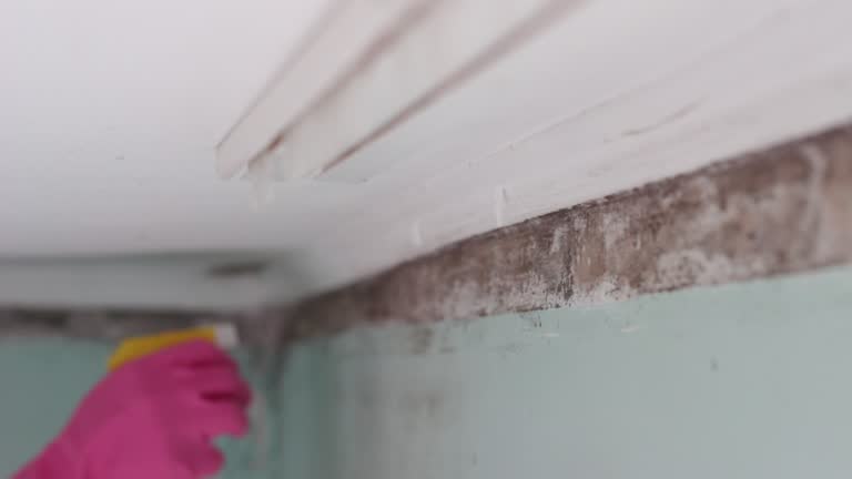 Best HVAC Mold Inspection and Cleaning  in Ainsworth, NE